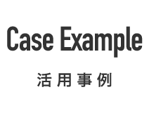 Case Example